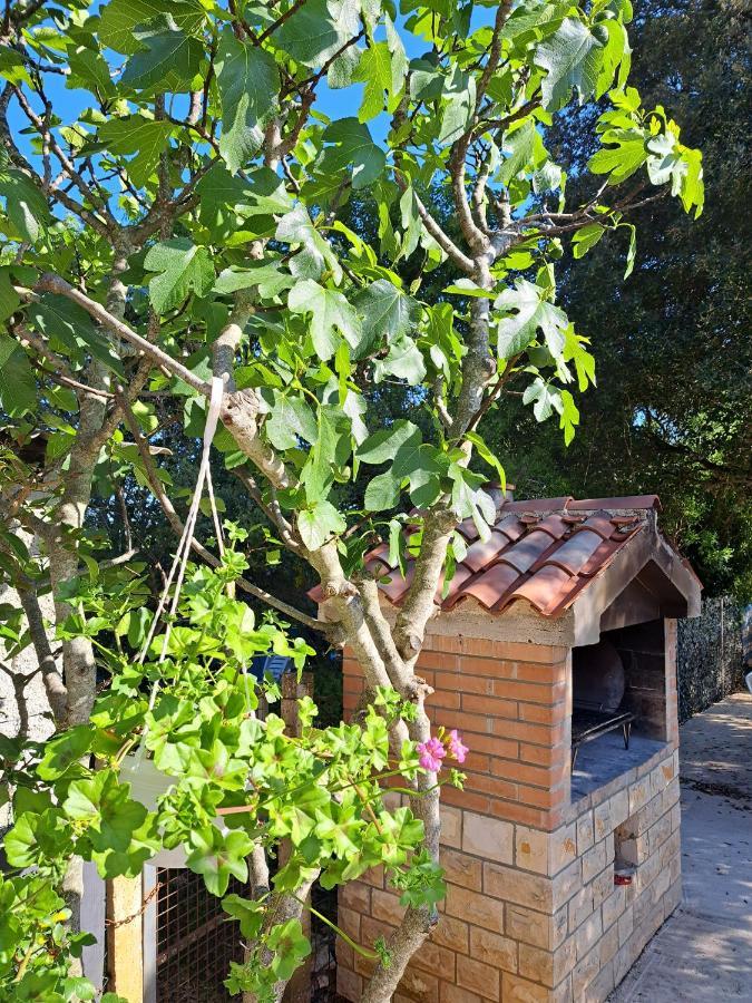 Apartman Melita Galižana Exteriör bild